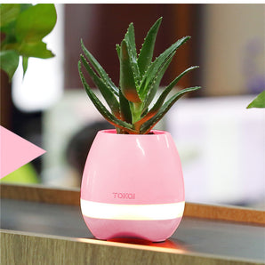Touch-sensitive music vase desktop audio